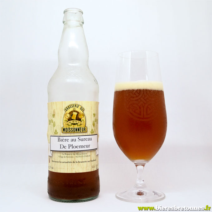 Bière au sureau de Ploemeur