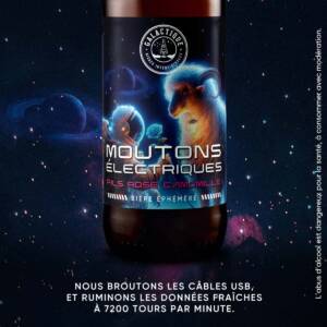13 Moutons Electriques 1a