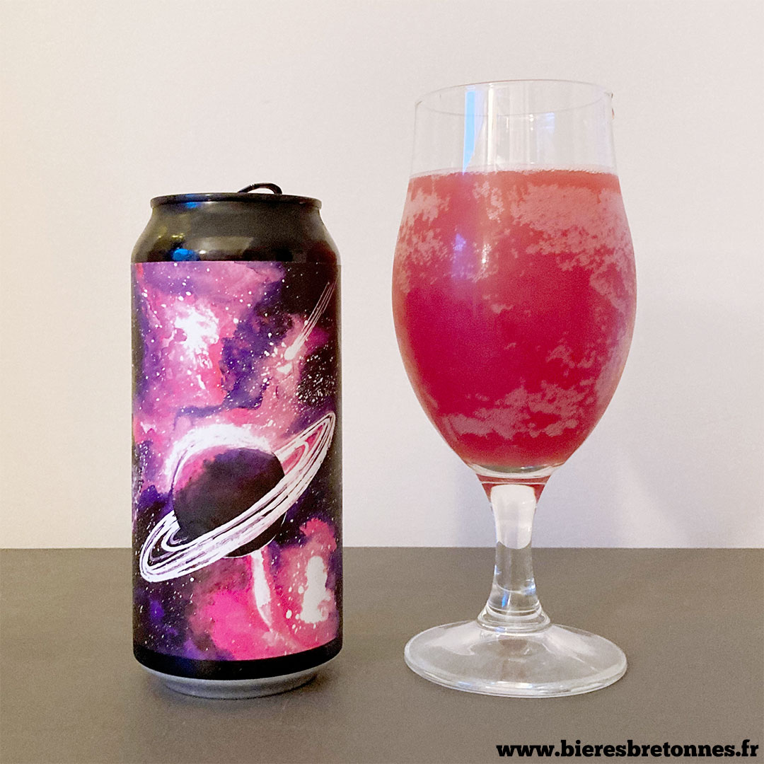 Philomenn Sour Framboise Romarin - Brasserie Touken