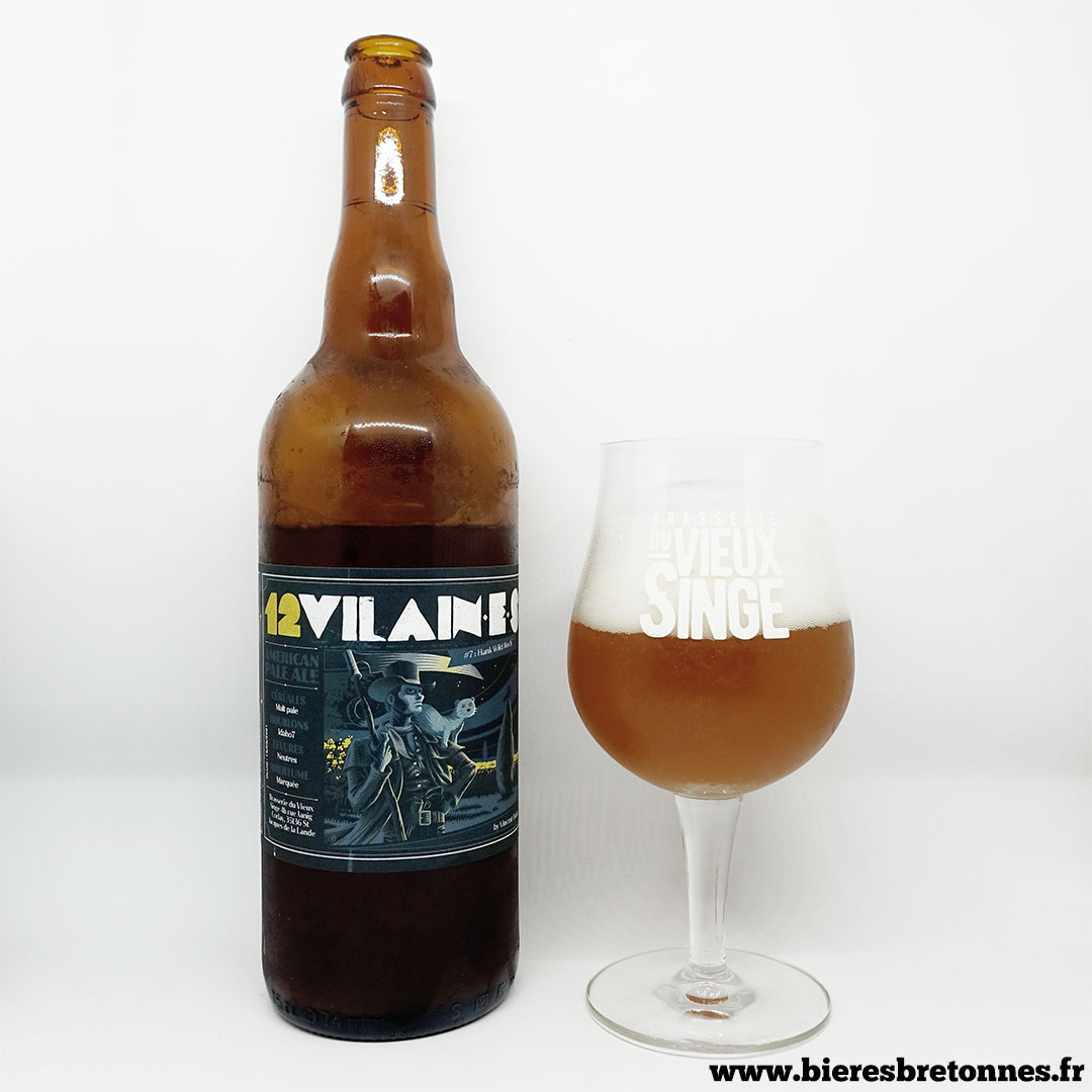 Vieux Singe 12 Vilain·e·s