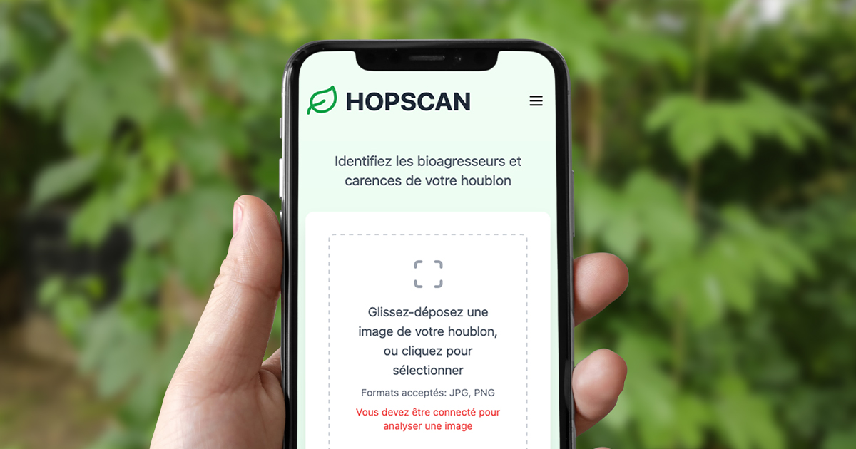 HOPSCAN, l’application qui diagnostique les maladies du houblon